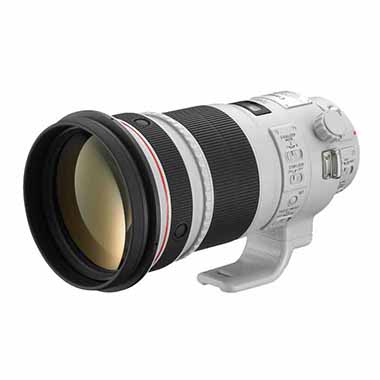 Canon - EF 300mm f/2.8L IS II USM